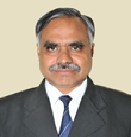 Emeritus Prof. Maithili Sharan